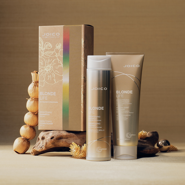 Joico Blonde Life Brightening Gift Set