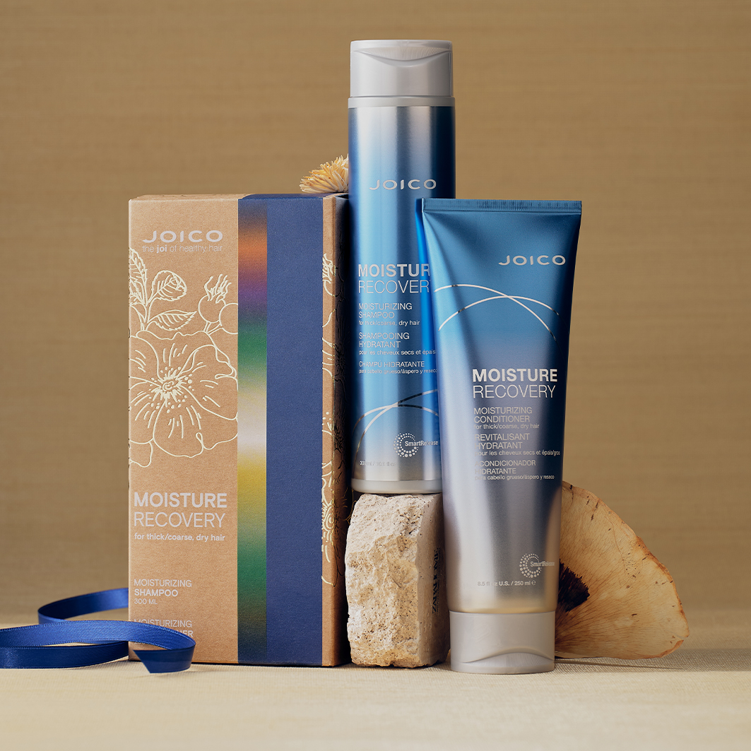 Joico Moisture Recovery Gift Set