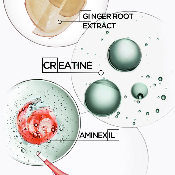 Illustration of ingredients including ginger root extract, creatine, and Aminexil on a white background.