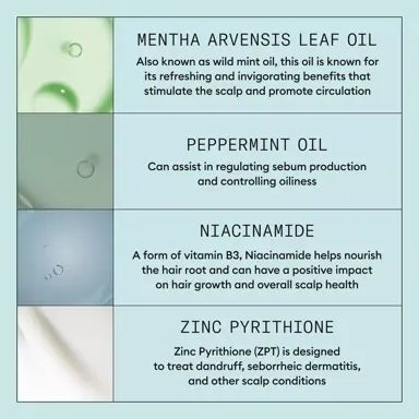 Nioxin Scalp Recovery System™ Kit