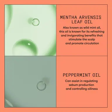 Nioxin  Scalp + Hair Thickening System 4 Conditioner 300ml