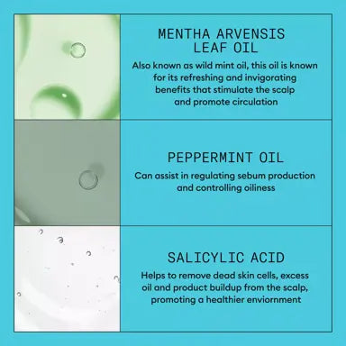 Nioxin Scalp + Hair Thickening System 3 Shampoo 300ml