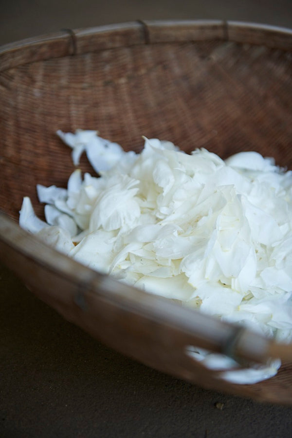 Shu Uemura yūbi blonde glow revealing shampoo 300ml