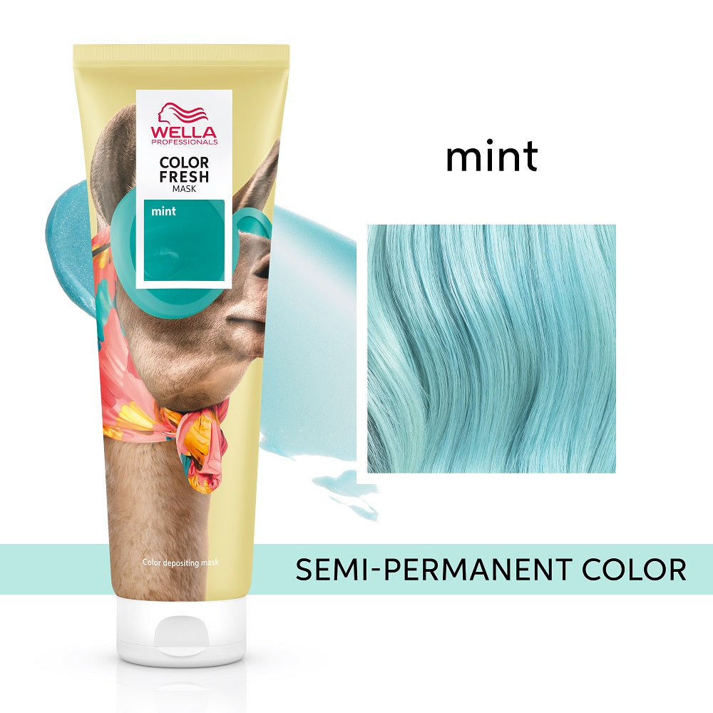 Color Fresh Mask Mint 150ml